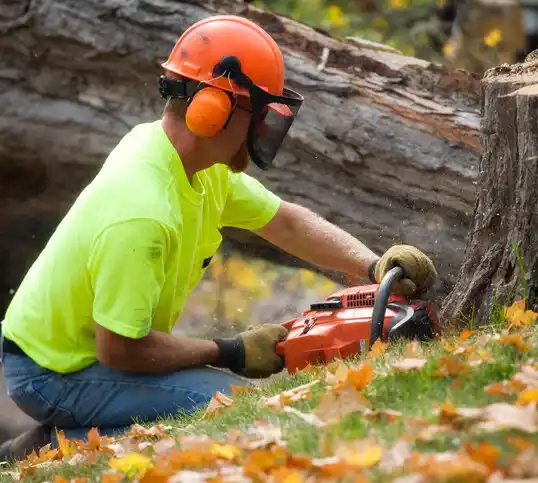 tree services Glenview